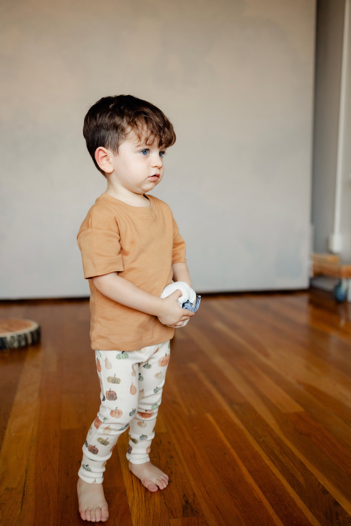 Organic Baby & Toddler Short-sleeve Tee - Camel