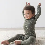 Organic 2 Piece Long Sleeve Jammie Set